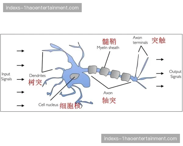 场馆感知神经元网络铺开 捕捉安保动态风险信号