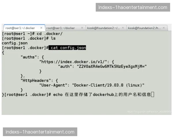 动态引擎适配多端分发 信号镜像支撑全球同频